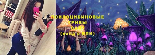 mix Алексин