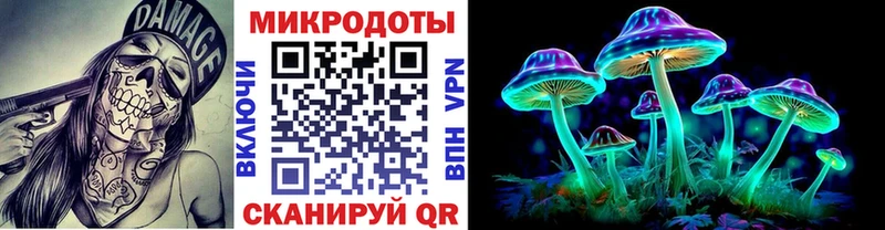 купить   Пудож  Галлюциногенные грибы Cubensis 